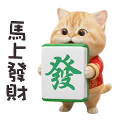 ヾ(*ΦωΦ)ツ小貓貓馬上發財