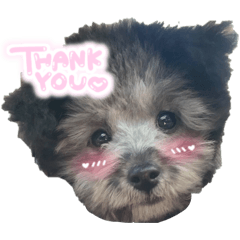 yukina_20251213130400