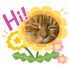 haruka_20251213132705