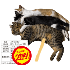 Neko world_20251211231008