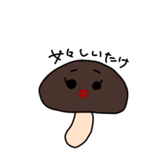 chamo_20251213142642
