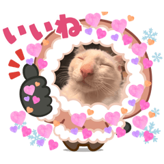 robitalemon_20251213180945