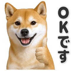 【敬語】使いやすい！柴犬