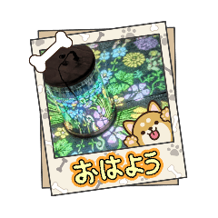 MISAKI_20251213190127