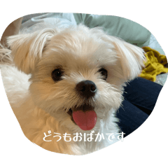 OMOCHI_20251213190848