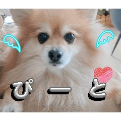 NATSU_20251213171918