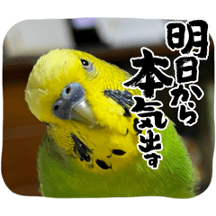 raimu&azuki_20251213204748