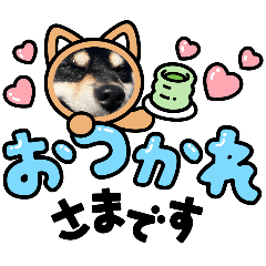 yuka_20251213193340