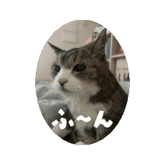 Akane_20251213193902