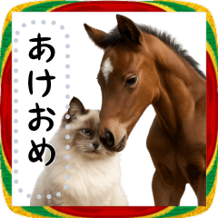 Ragdolls and New Year's! Free message