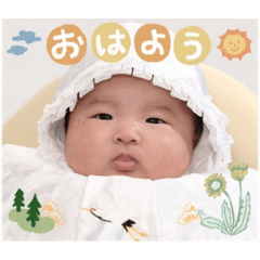 ayumi_20251213215454