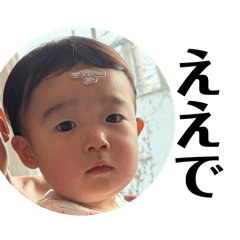 ayame_20251213204022