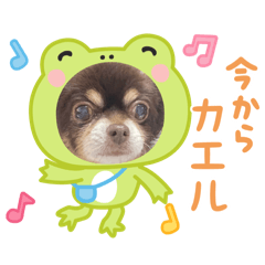 cocoa_20251213212621