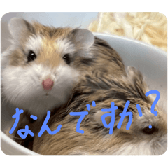 yohei_20251213212644