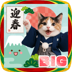 【BIG】癒しにゃんこの毎年使える年賀状