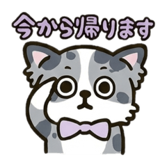 AYUMI_20251213213709