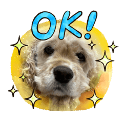 cmkmama_20251213183938