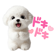 SHIHO_20251213165835