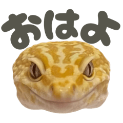 YUKINA_20251213223012