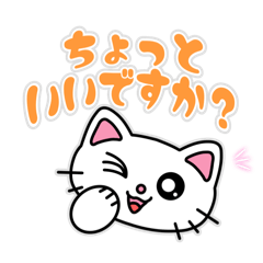 白猫の日常使い