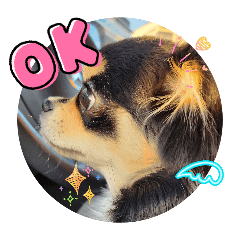 aaaaa_20251213173546