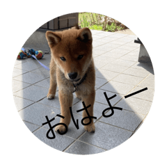 Nuchan_20251213211849