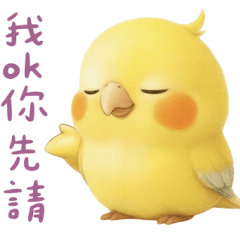 鸚鵡的碎唸