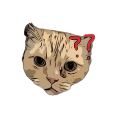 貓（？ʕ •ᴥ•ʔ
