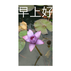 太陽升，太陽落