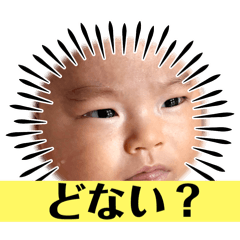 haruwo_20251214093029