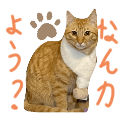 karan_20251214000331