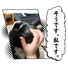 yoyoyo_20251214001103