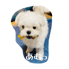 OMOCHI_20251214084526