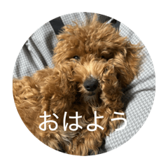 Nana san_20251214090010