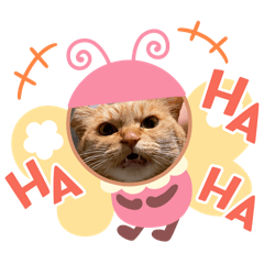 Okiron_20251214085202