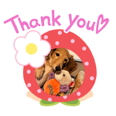 kolon_20251214084939