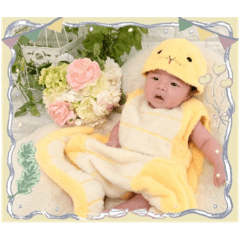 fujimuuu_20251214104635