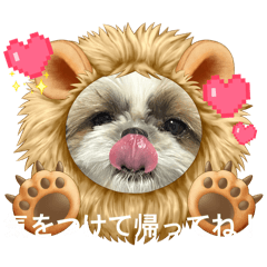 itsumonemutaitetesuke