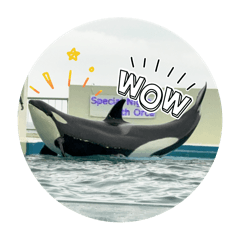 Riopi_20251212141704