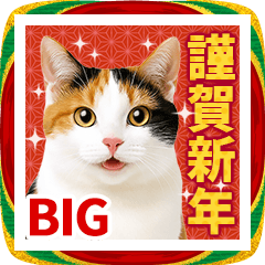 かわいい猫写真♪敬語でお正月 BIG 2026