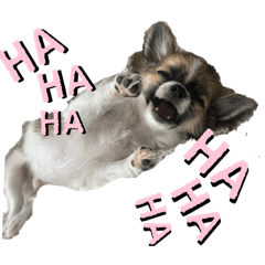 Yokko_20251214101400