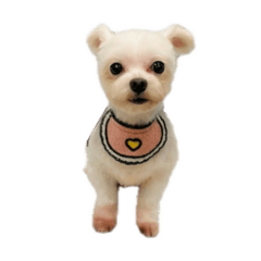 fuwafuwa_20251214101329