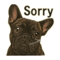 keito_20251214101944