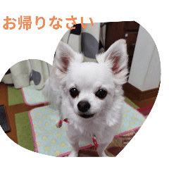 5wans_20251214101608