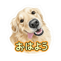 magic_u_20251214102430