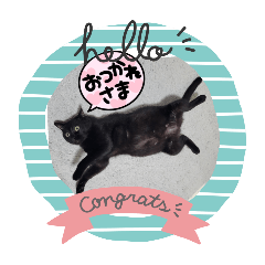 14211218y_20251214103120