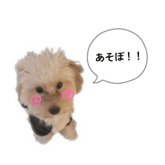 03_bob_20251214102520