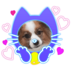 komugi_20251214103616