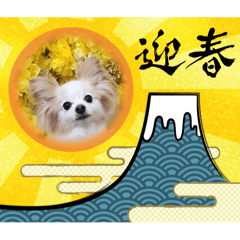 chiro_20251214103303