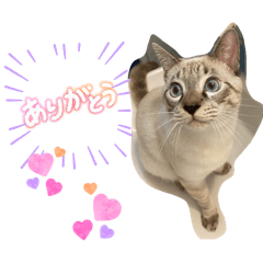 micky_20251214103020